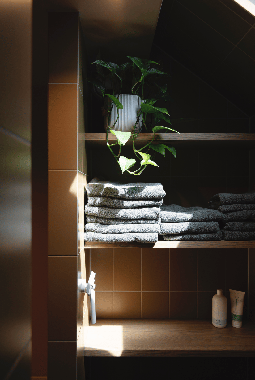 Zonlicht  op planken met handdoeken en planten in badkamer in Utrech